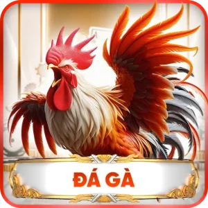 Đá Gà LV88 - Sàn Đấu Nảy Lửa Của Các Tín Đồ Chọi Kê